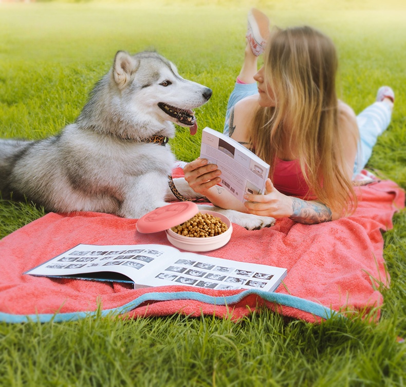 Neue multifunktionale tragbare – Food Snacks For Hiking Bewertung und Preis